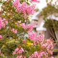 Understanding Financial Stability: A Comprehensive Guide to Choosing the Best Insurance Company